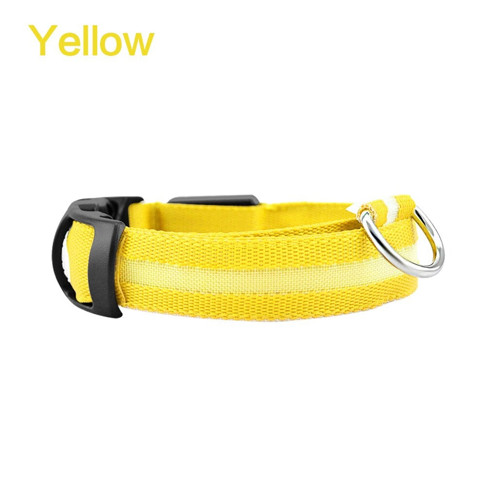 LED Glowing Night Safety Collar - Sing3D